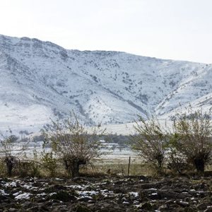 Tabriz , Iran