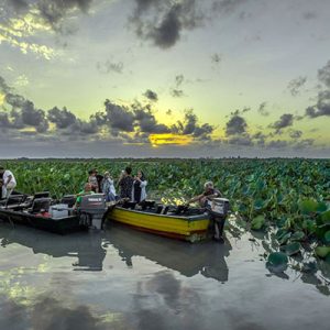 Anzali Wetland Lagoon Iran