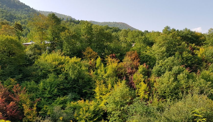 Golestan National Park Iran