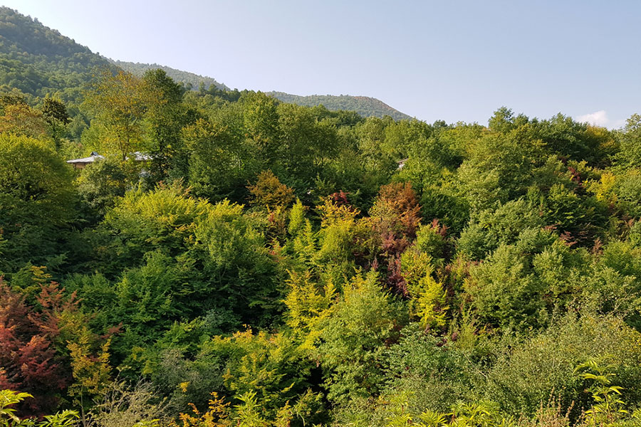 Golestan National Park Iran