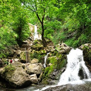 Iran National Park