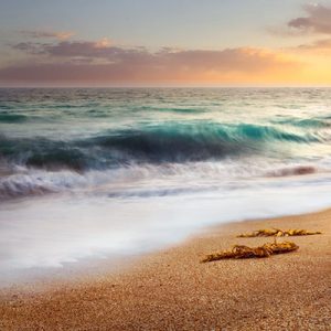 Persian Gulf Beach in Baluchistan