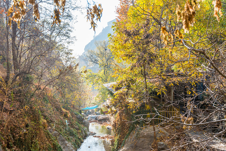 Darband Tehran Nature , Iran Tour Operator