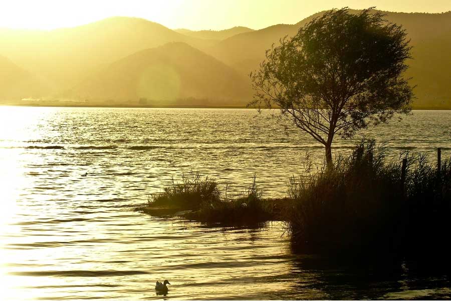 Zarivar Wetland Marivan Kurdistan, Iran Tour Operator